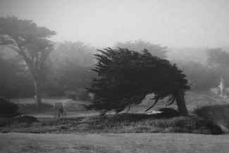 Deb Evans Braun - Into The Wind
